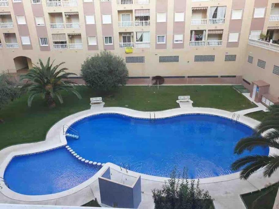 Nice Apartment Near The Park Torrevieja Dış mekan fotoğraf
